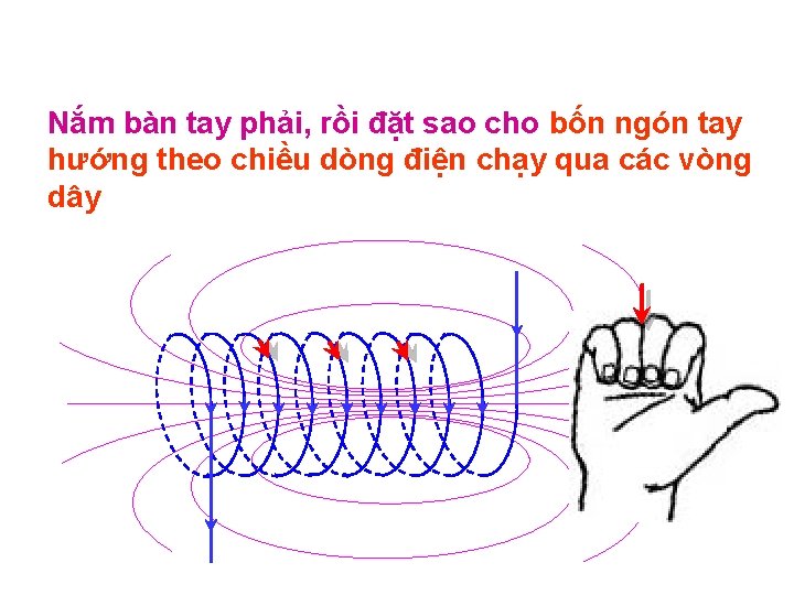 Nắm bàn tay phải, rồi đặt sao cho bốn ngón tay hướng theo chiều