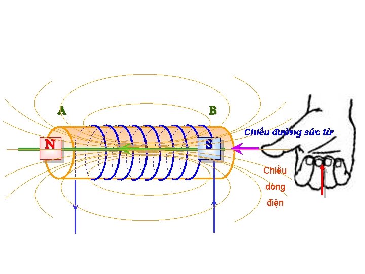 A N B S Chiều đường sức từ Chiều dòng điện 