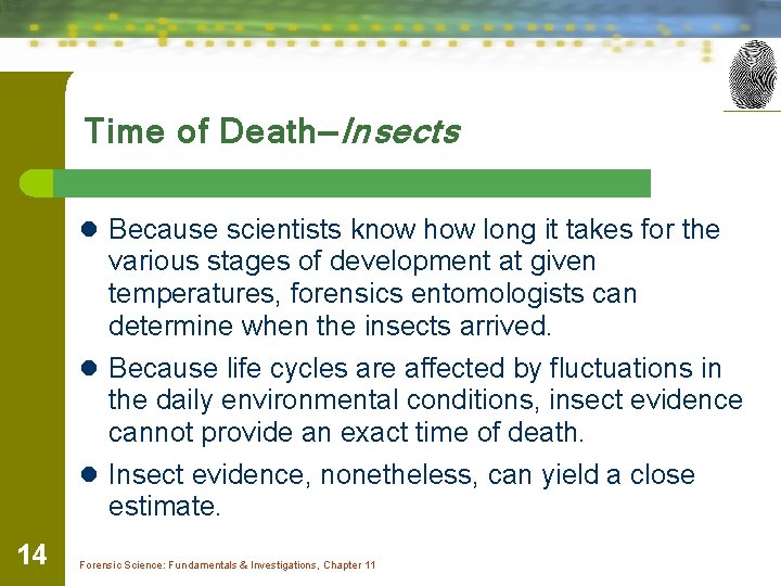 Time of Death—Insects l Because scientists know how long it takes for the various