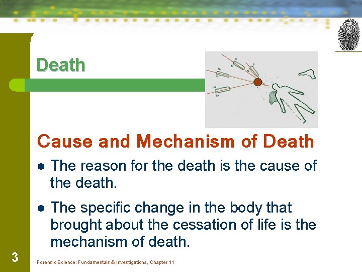 Death Cause and Mechanism of Death 3 l The reason for the death is