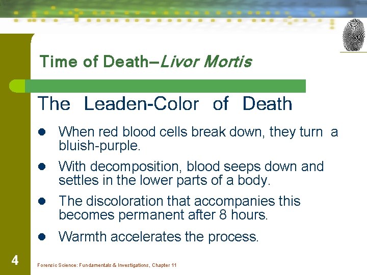 Time of Death—Livor Mortis The Leaden-Color of Death l When red blood cells break