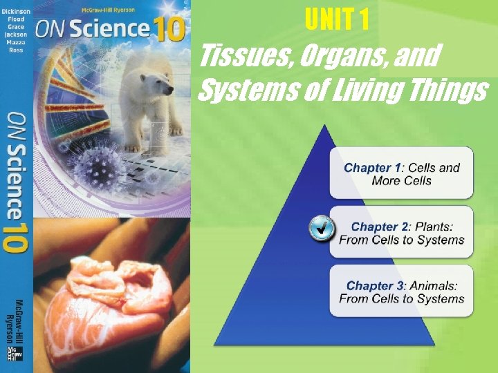UNIT 1 Tissues, Organs, and Systems of Living Things 