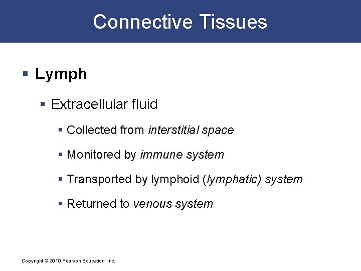 Connective Tissues § Lymph § Extracellular fluid § Collected from interstitial space § Monitored