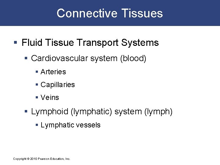 Connective Tissues § Fluid Tissue Transport Systems § Cardiovascular system (blood) § Arteries §