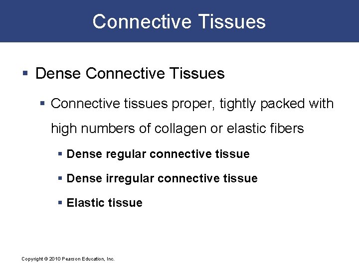Connective Tissues § Dense Connective Tissues § Connective tissues proper, tightly packed with high