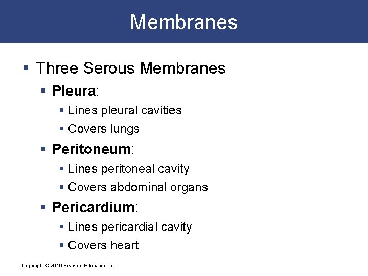 Membranes § Three Serous Membranes § Pleura: § Lines pleural cavities § Covers lungs