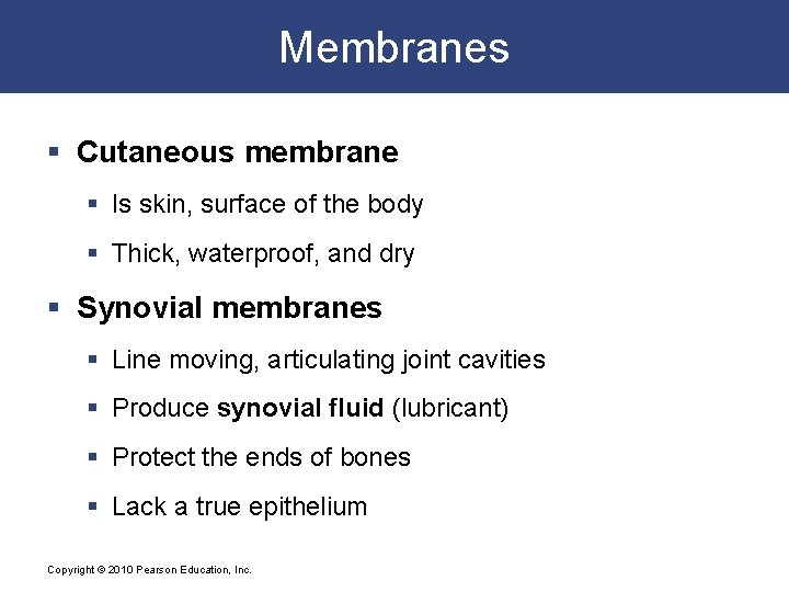 Membranes § Cutaneous membrane § Is skin, surface of the body § Thick, waterproof,