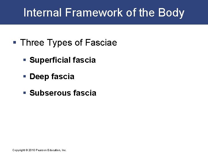 Internal Framework of the Body § Three Types of Fasciae § Superficial fascia §