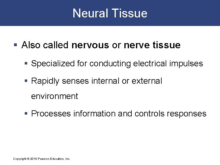 Neural Tissue § Also called nervous or nerve tissue § Specialized for conducting electrical