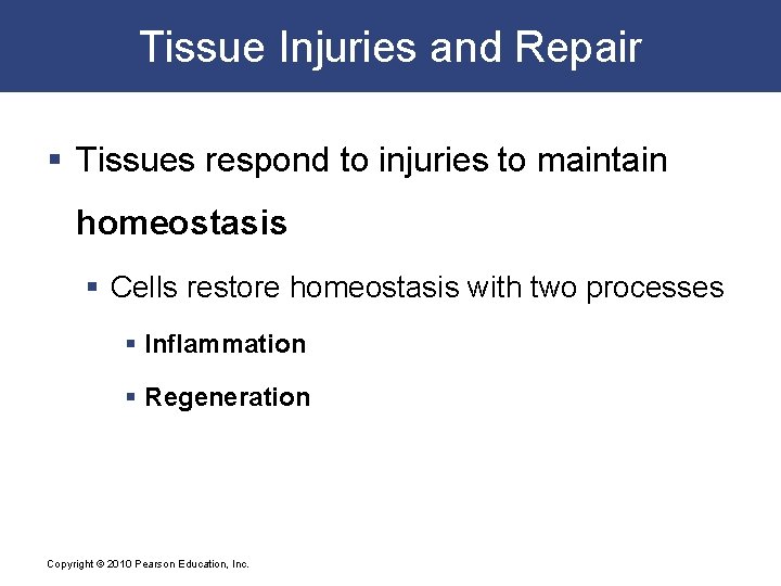 Tissue Injuries and Repair § Tissues respond to injuries to maintain homeostasis § Cells