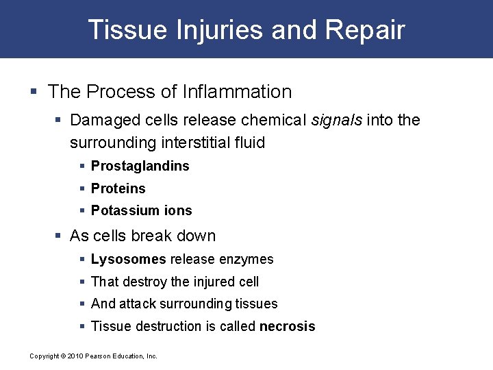 Tissue Injuries and Repair § The Process of Inflammation § Damaged cells release chemical