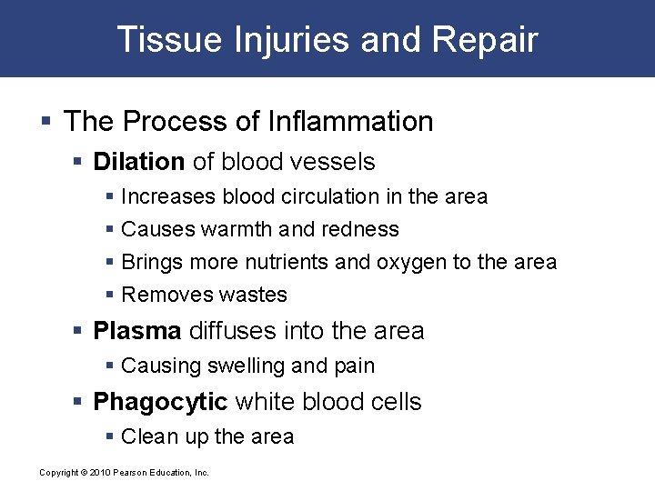Tissue Injuries and Repair § The Process of Inflammation § Dilation of blood vessels