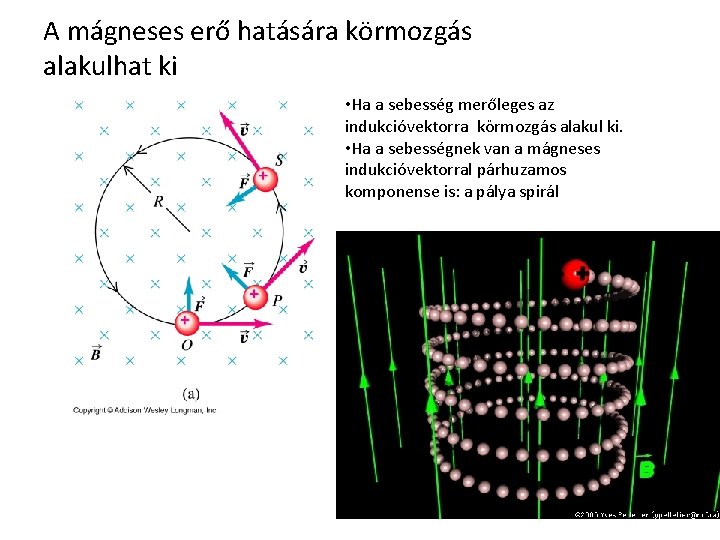 A mágneses erő hatására körmozgás alakulhat ki • Ha a sebesség merőleges az indukcióvektorra