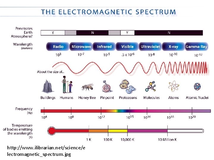 http: //www. ilibrarian. net/science/e lectromagnetic_spectrum. jpg 