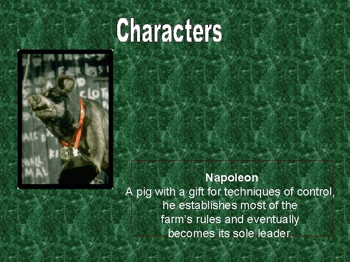 Napoleon A pig with a gift for techniques of control, he establishes most of