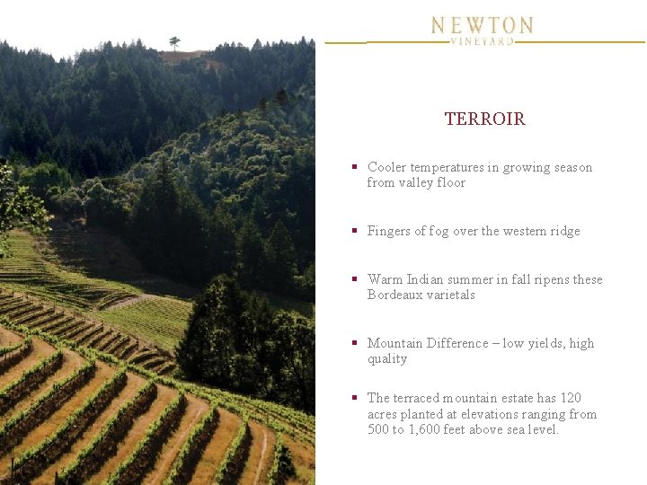 TERROIR § Cooler temperatures in growing season from valley floor § Fingers of fog TERROIR § Cooler temperatures in growing season from valley floor § Fingers of fog