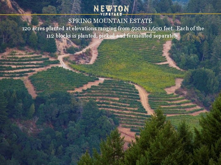SPRING MOUNTAIN ESTATE 120 acres planted at elevations ranging from 500 to 1, 600 SPRING MOUNTAIN ESTATE 120 acres planted at elevations ranging from 500 to 1, 600