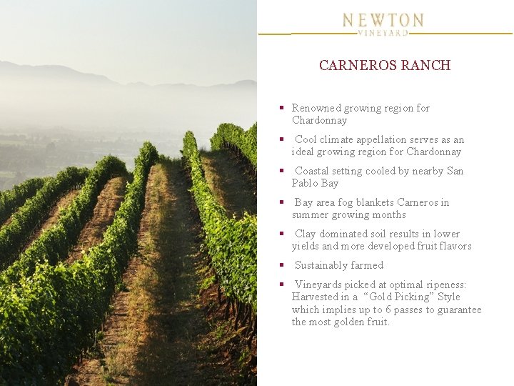 CARNEROS RANCH § Renowned growing region for Chardonnay § Cool climate appellation serves as CARNEROS RANCH § Renowned growing region for Chardonnay § Cool climate appellation serves as