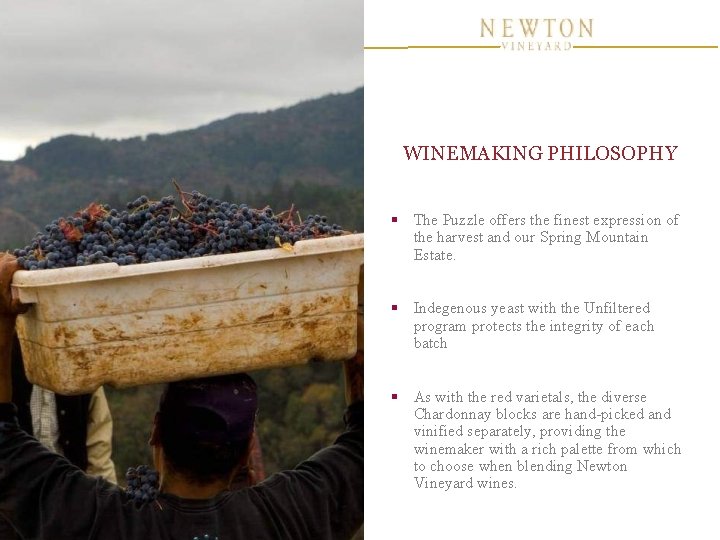 WINEMAKING PHILOSOPHY § The Puzzle offers the finest expression of the harvest and our WINEMAKING PHILOSOPHY § The Puzzle offers the finest expression of the harvest and our