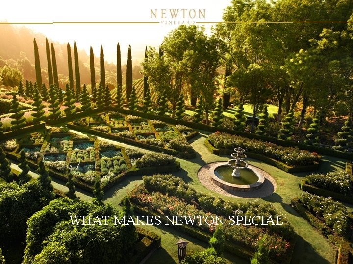 WHAT MAKES NEWTON SPECIAL WHAT MAKES NEWTON SPECIAL