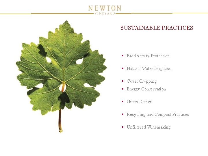 SUSTAINABLE PRACTICES § Biodiversity Protection § Natural Water Irrigation § Cover Cropping § Energy SUSTAINABLE PRACTICES § Biodiversity Protection § Natural Water Irrigation § Cover Cropping § Energy