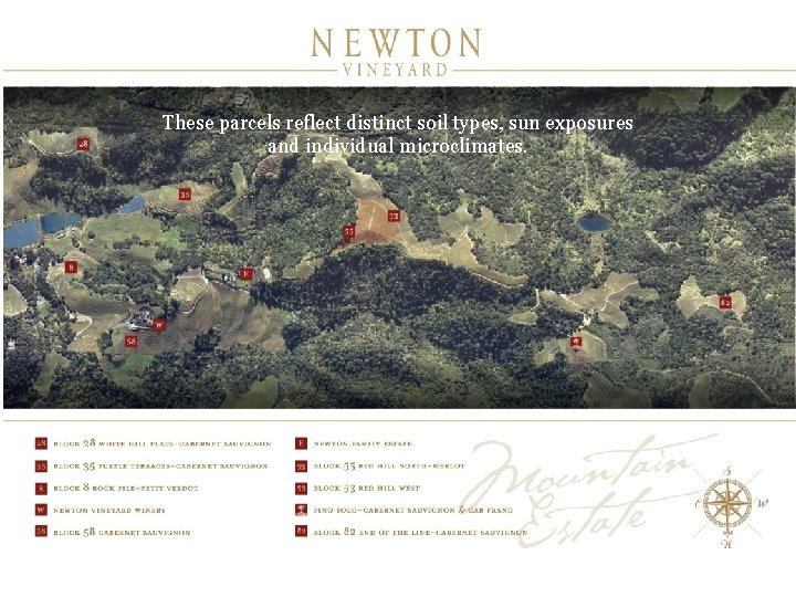 These parcels reflect distinct soil types, sun exposures and individual microclimates. These parcels reflect distinct soil types, sun exposures and individual microclimates.