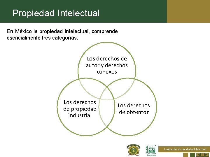 Propiedad Intelectual En México la propiedad intelectual, comprende esencialmente tres categorías: Los derechos de