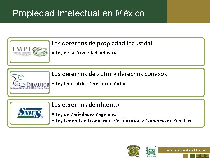 Propiedad Intelectual en México Los derechos de propiedad industrial • Ley de la Propiedad