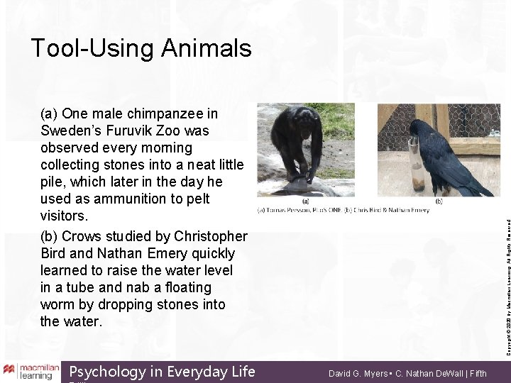 Tool-Using Animals Psychology in Everyday Life Copyright © 2020 by Macmillan Learning. All Rights
