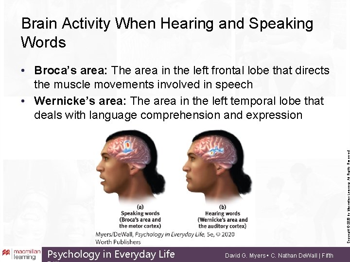 Brain Activity When Hearing and Speaking Words Copyright © 2020 by Macmillan Learning. All