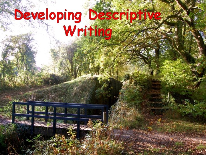 Developing Descriptive Writing 