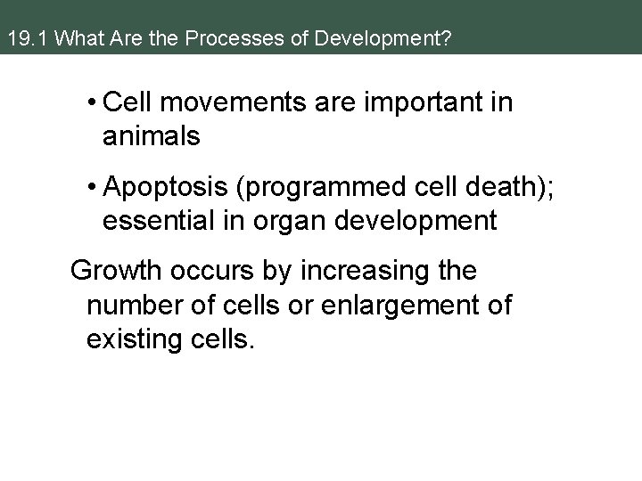 19. 1 What Are the Processes of Development? • Cell movements are important in