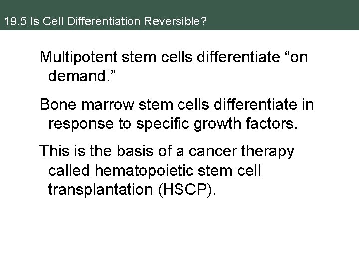 19. 5 Is Cell Differentiation Reversible? Multipotent stem cells differentiate “on demand. ” Bone