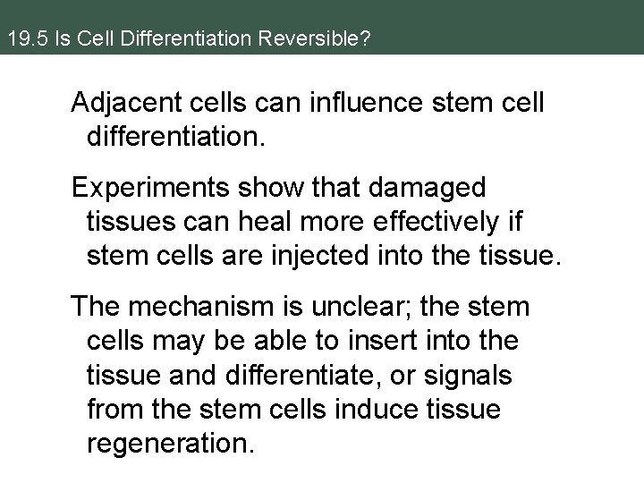 19. 5 Is Cell Differentiation Reversible? Adjacent cells can influence stem cell differentiation. Experiments