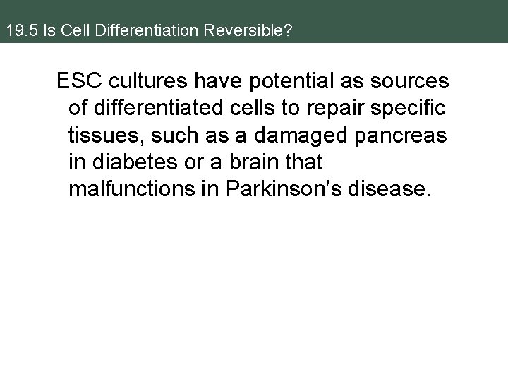 19. 5 Is Cell Differentiation Reversible? ESC cultures have potential as sources of differentiated