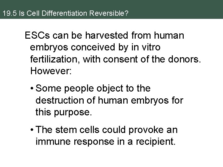 19. 5 Is Cell Differentiation Reversible? ESCs can be harvested from human embryos conceived
