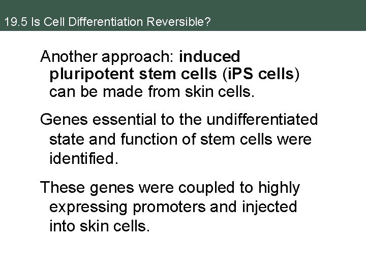 19. 5 Is Cell Differentiation Reversible? Another approach: induced pluripotent stem cells (i. PS