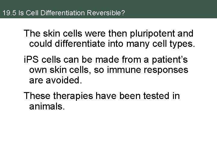 19. 5 Is Cell Differentiation Reversible? The skin cells were then pluripotent and could