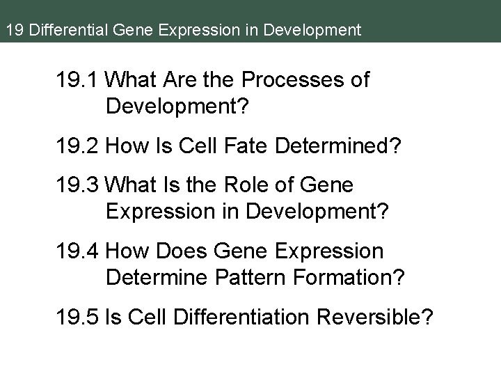 19 Differential Gene Expression in Development 19. 1 What Are the Processes of Development?