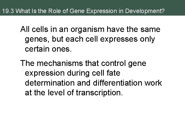 19. 3 What Is the Role of Gene Expression in Development? All cells in