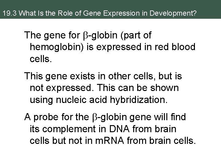 19. 3 What Is the Role of Gene Expression in Development? The gene for