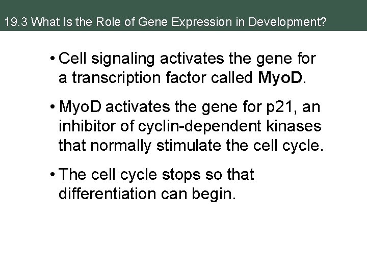 19. 3 What Is the Role of Gene Expression in Development? • Cell signaling