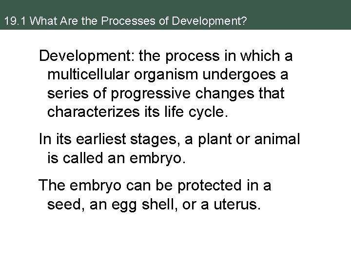 19. 1 What Are the Processes of Development? Development: the process in which a