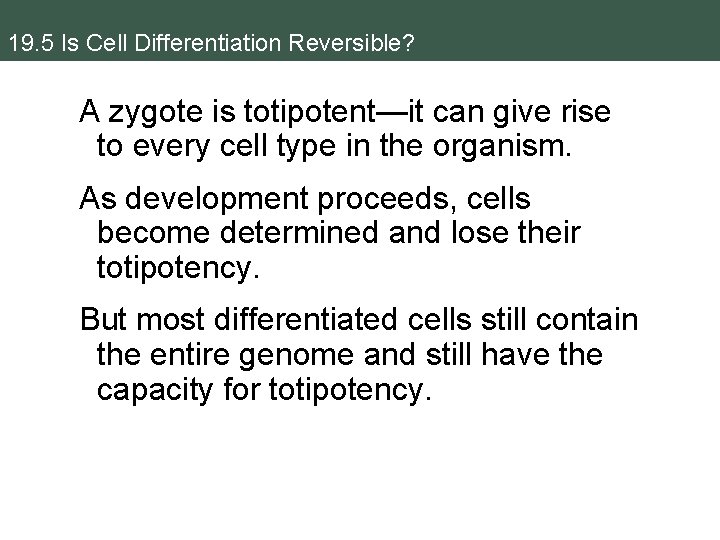 19. 5 Is Cell Differentiation Reversible? A zygote is totipotent—it can give rise to