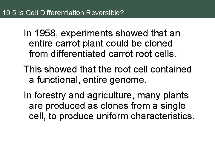 19. 5 Is Cell Differentiation Reversible? In 1958, experiments showed that an entire carrot