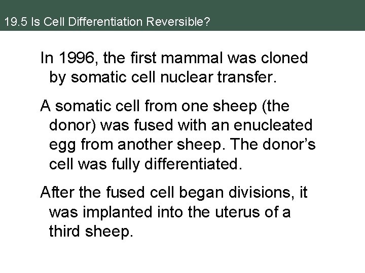 19. 5 Is Cell Differentiation Reversible? In 1996, the first mammal was cloned by