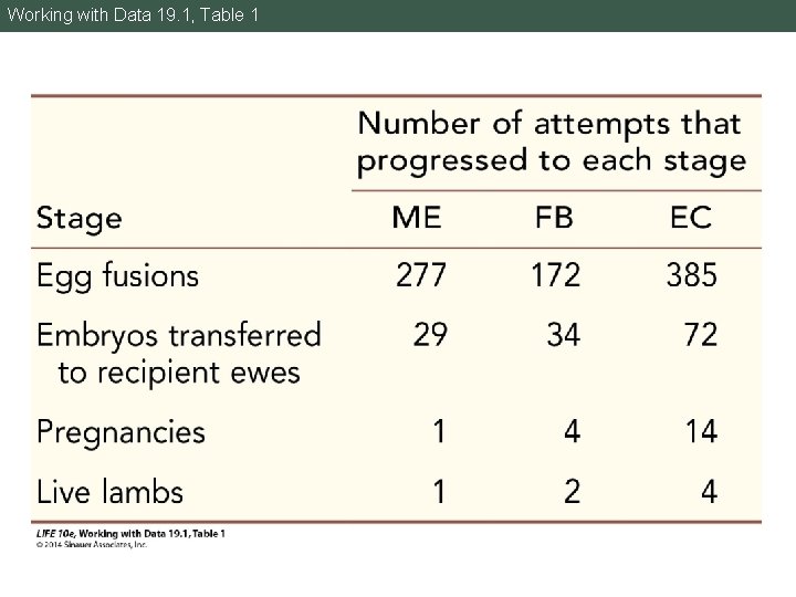 Working with Data 19. 1, Table 1 