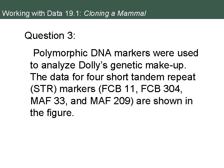 Working with Data 19. 1: Cloning a Mammal Question 3: Polymorphic DNA markers were