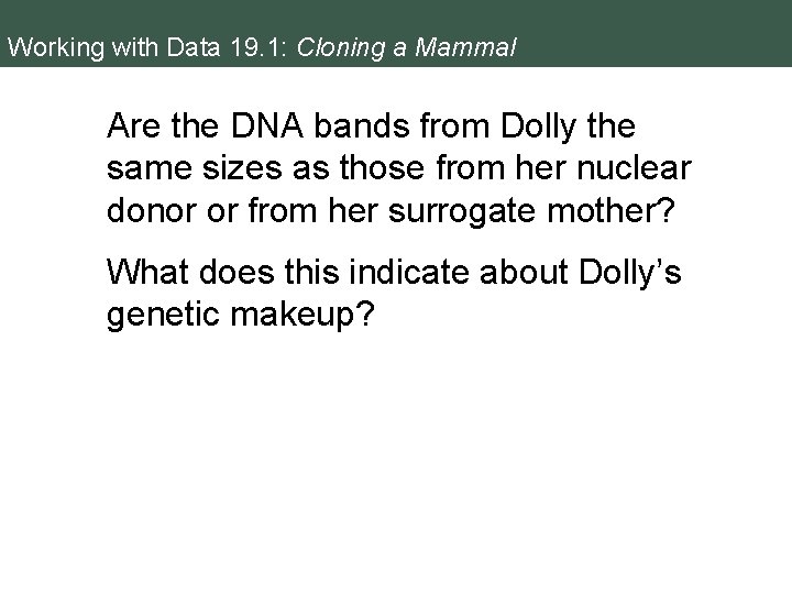 Working with Data 19. 1: Cloning a Mammal Are the DNA bands from Dolly
