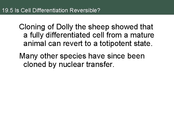 19. 5 Is Cell Differentiation Reversible? Cloning of Dolly the sheep showed that a